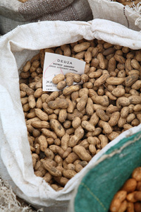 Как вырастить арахис