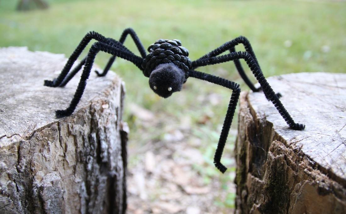 Большой паук черный