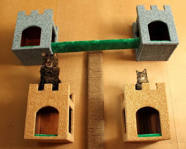 Домик для кошки своими руками: 3 варианта изготовления
