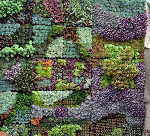 Стена с растениями