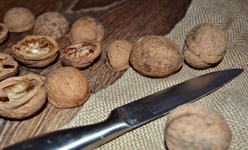 Поделки елка из грецких орехов: идеи по изготовлению своими руками (42 фото)