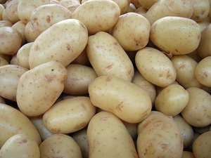 Картофель нового урожая