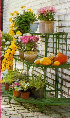 Мечтаете превратить свой балкон в цветущий сад?